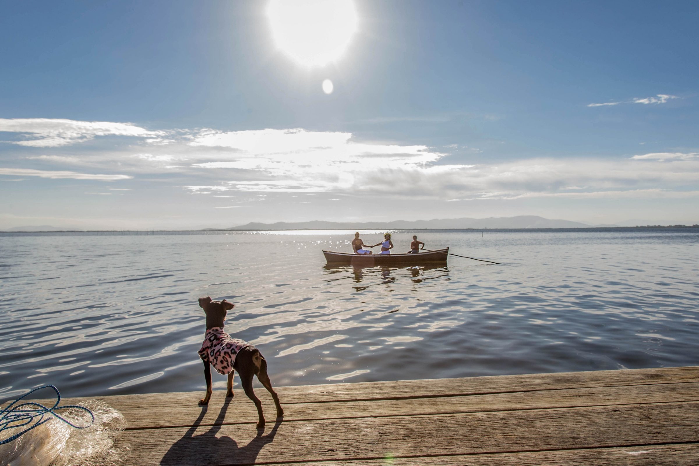 Foto de MilaPizzoni 38